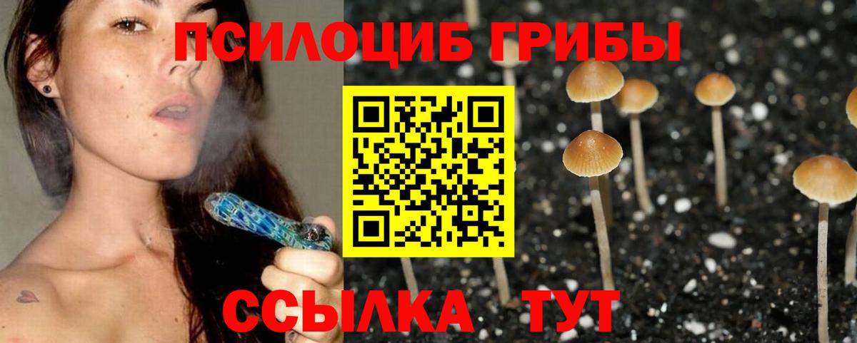 Алатырь  Псилоцибиновые грибы мухоморы  Псилоцибиновые грибы мицелий  Вход с VPN 